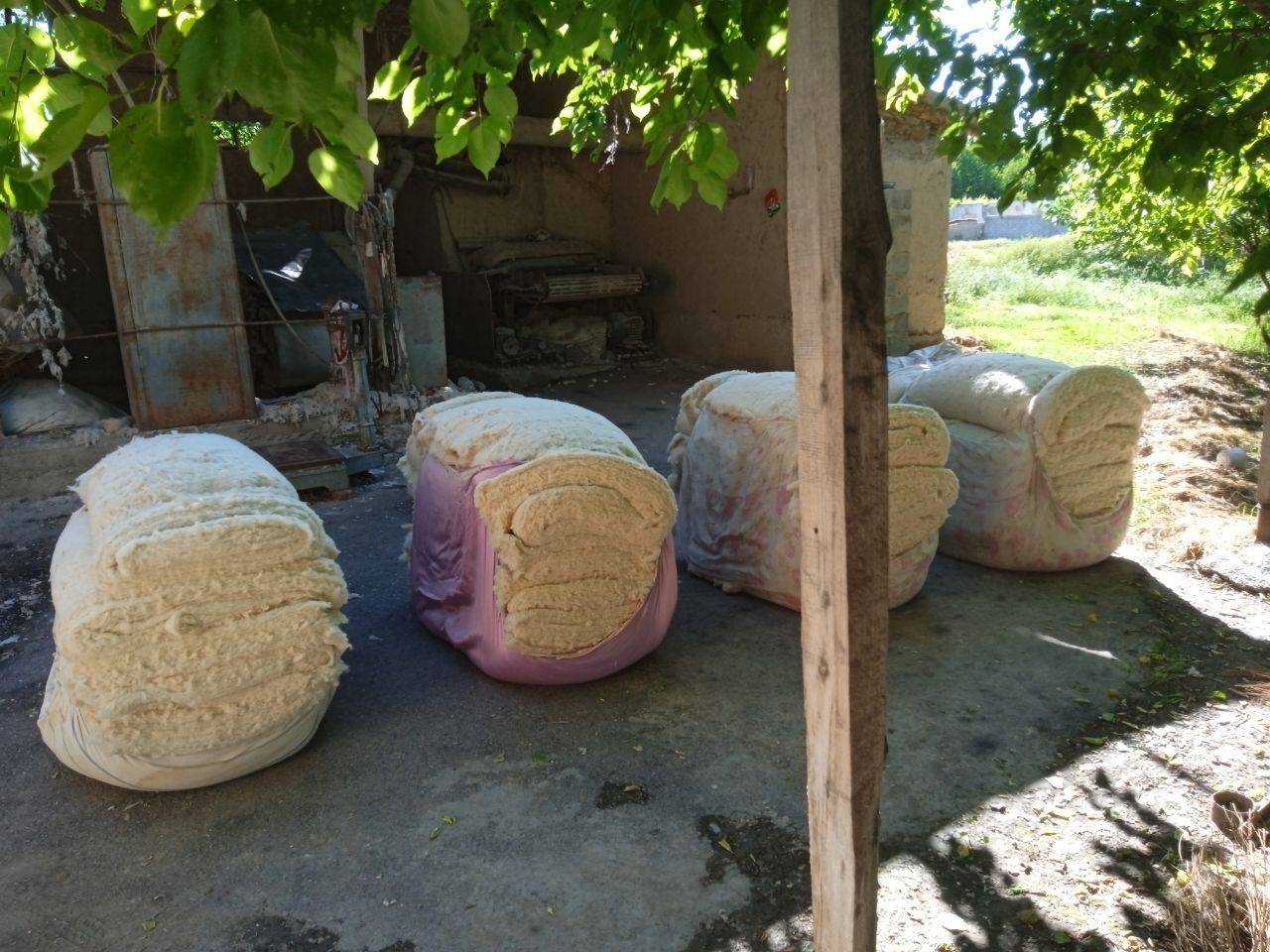 Chim otar xizmati