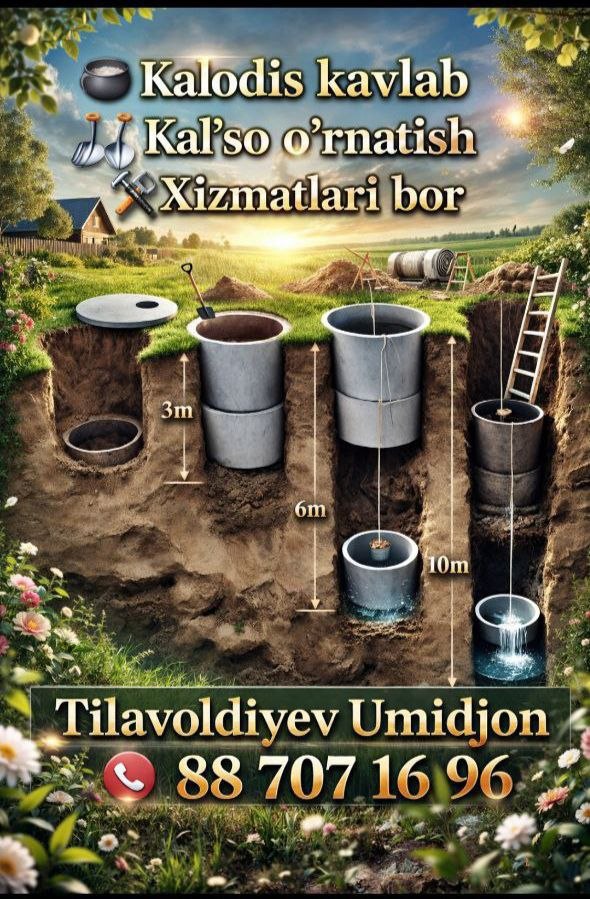 Koloedts xizmatlari