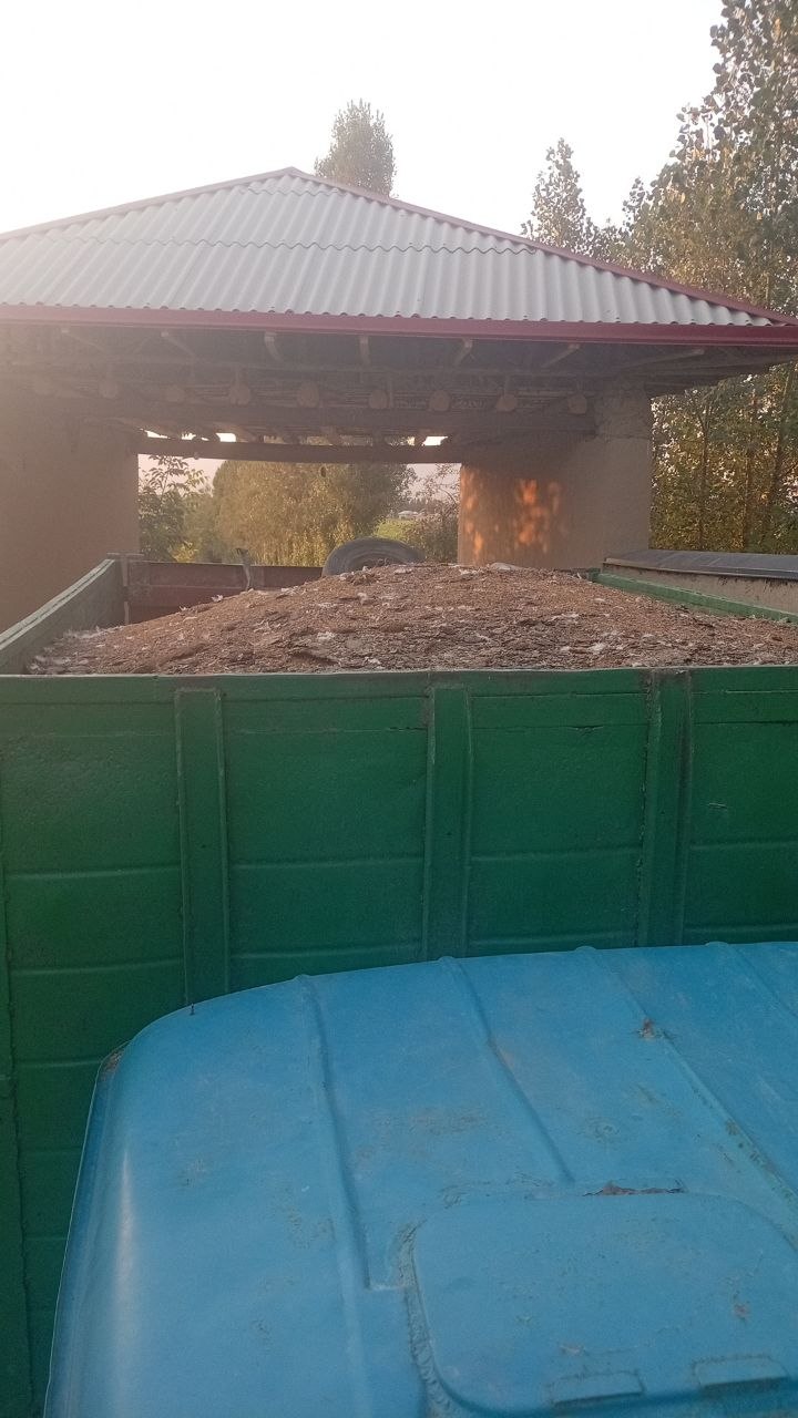 Tovuq go'ng bor yarim moshin