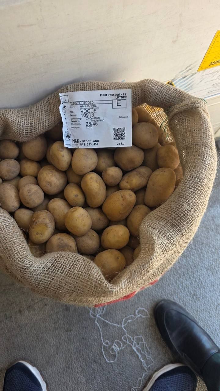 Kartoshka 7500 sum
