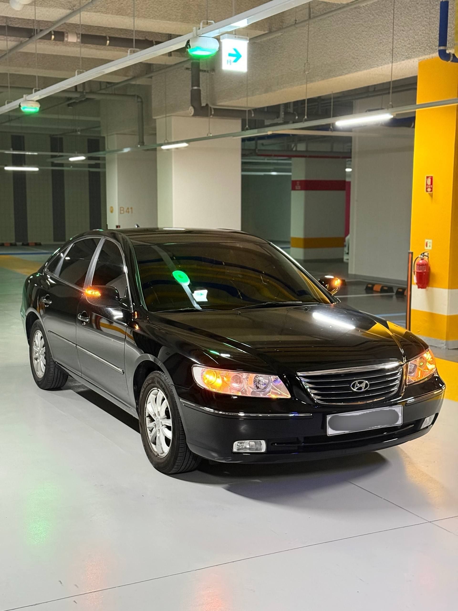 Hyundai 2010