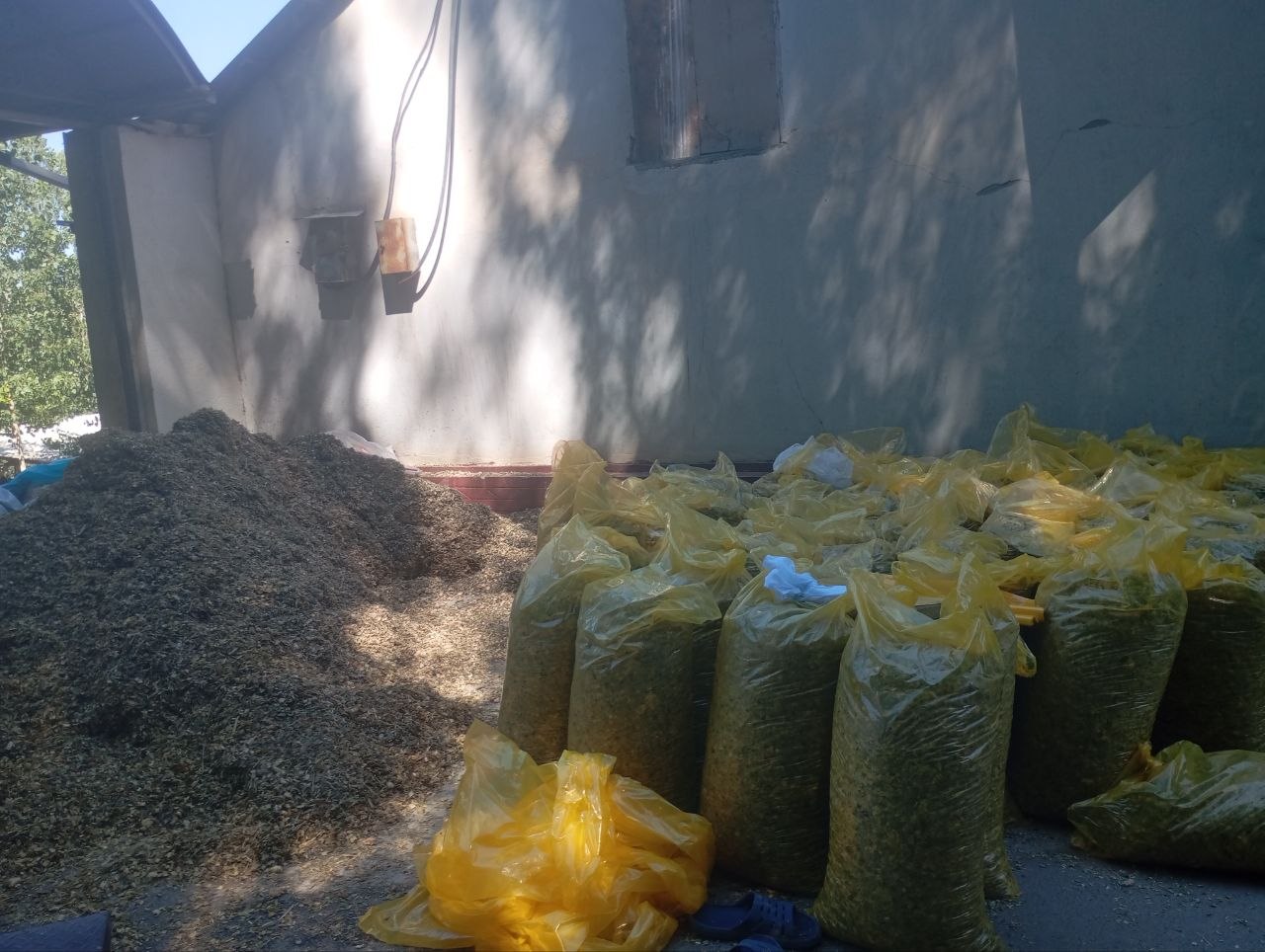 Silos bor oz qoldi