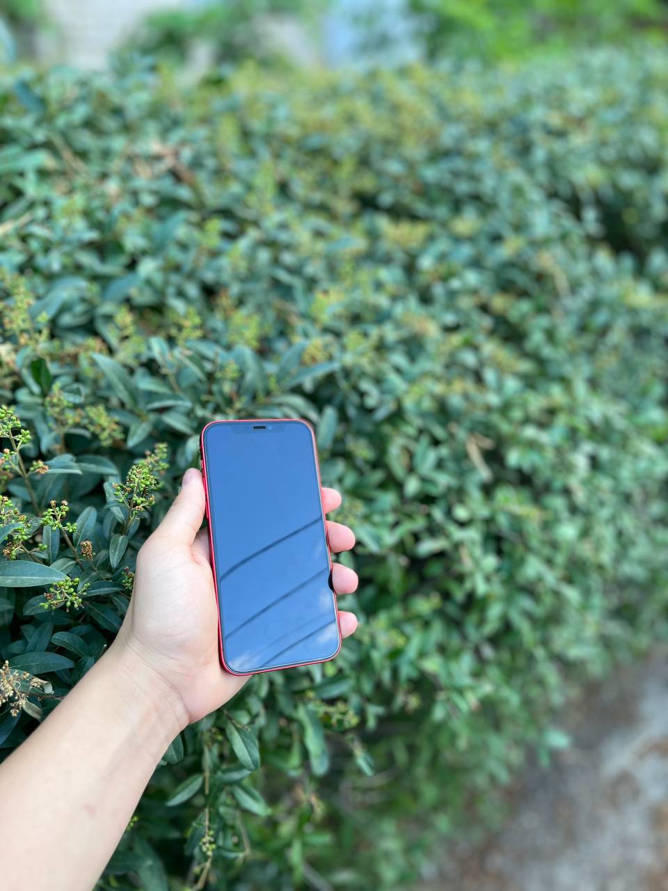 IPhone 12 64gb