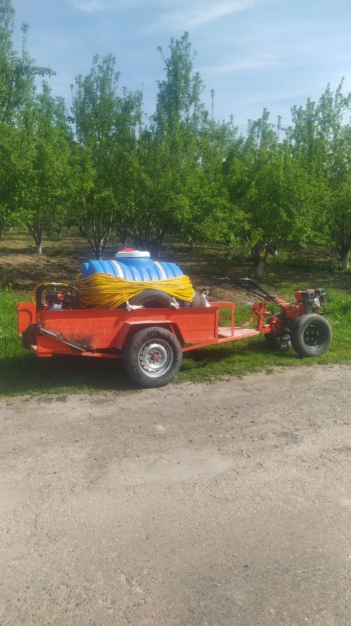 Dori sepish xizmati