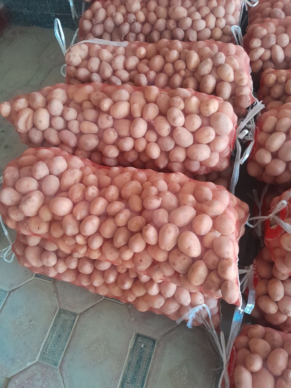 Gala qishga turadigan kartoshka