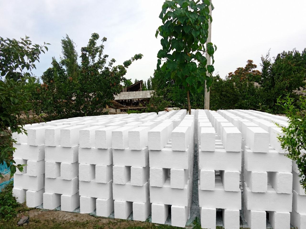 Penablok mavjud
