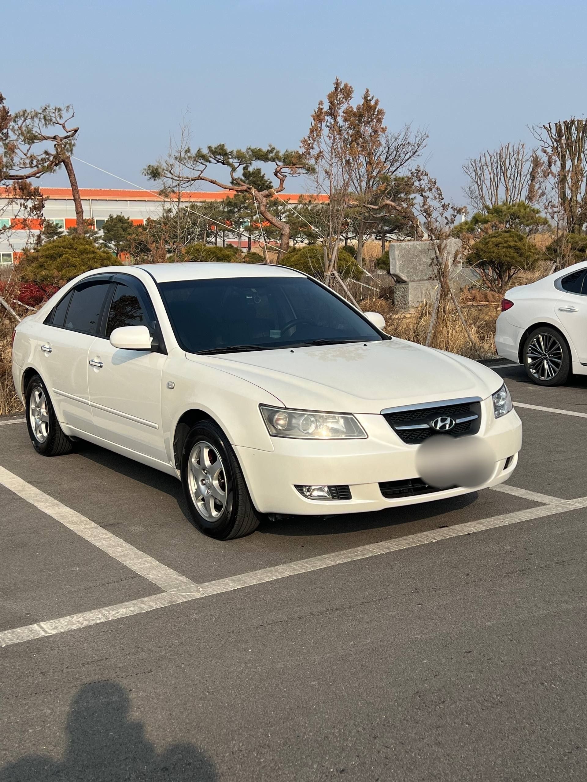 Sonata