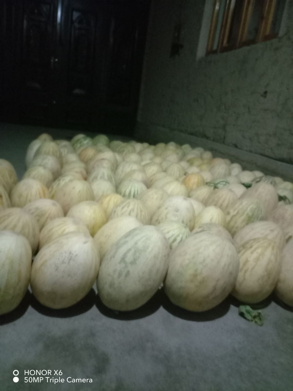 Qovunlari keldi