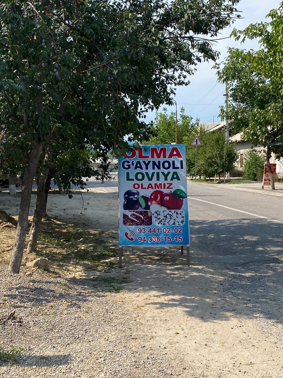 TIP TOP OLMA OLAMIZ