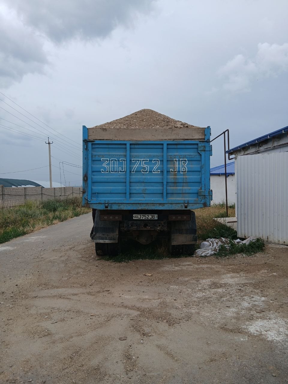 Tovuq pori apilkali