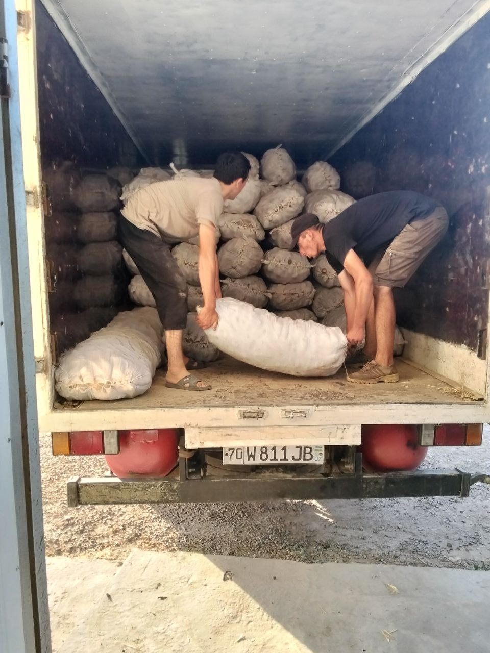 Kizil 20t sarik — 50 tonna mavjud