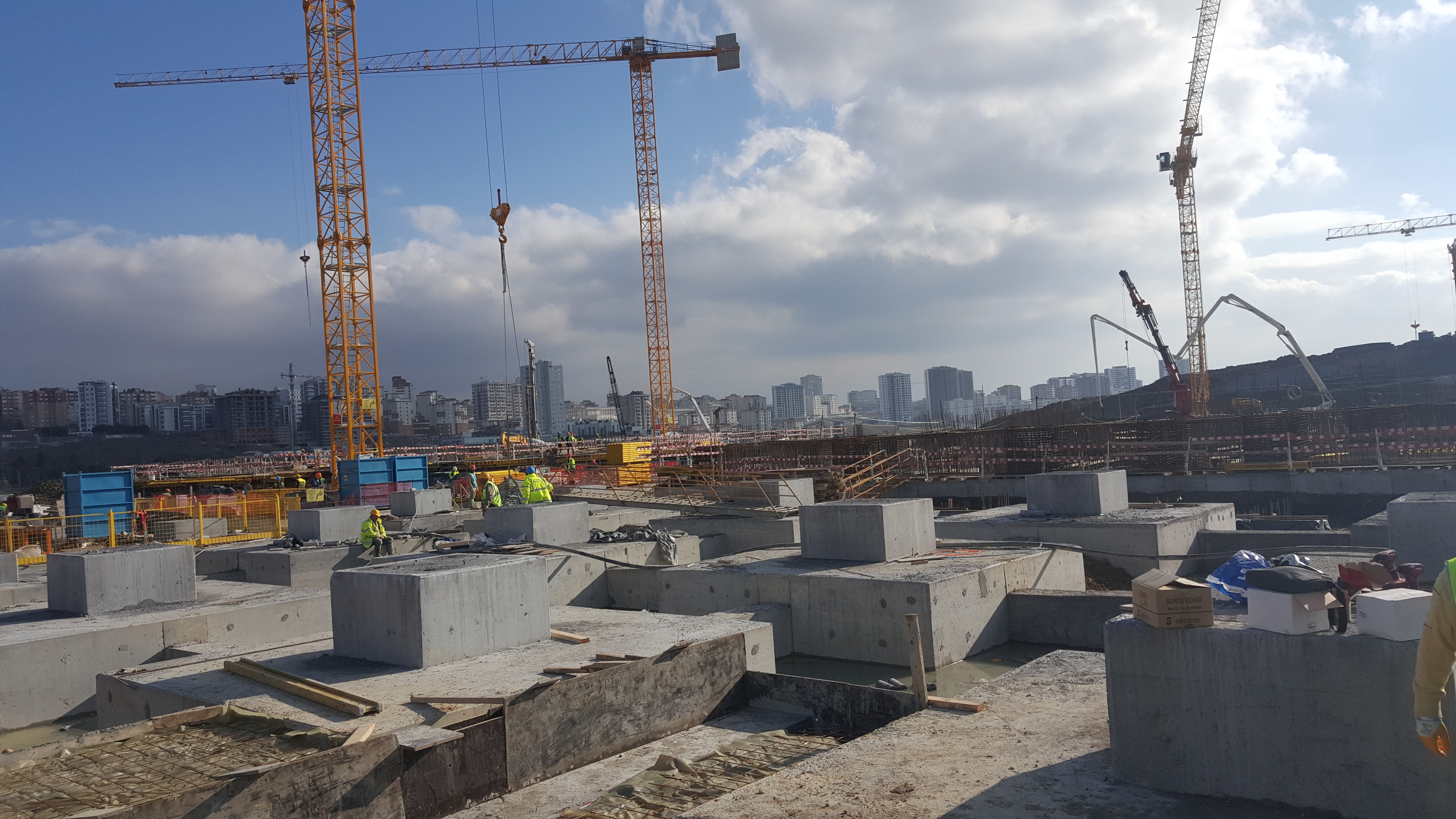 Çam ve Sakura Şehir Hastenesi Projesi