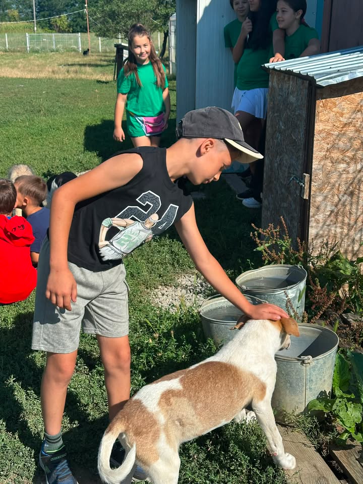 Astăzi am petrecut cea de-a patra zi a Școlii de Vară la Asociatia "Dumbrava lui… — fotografie 9