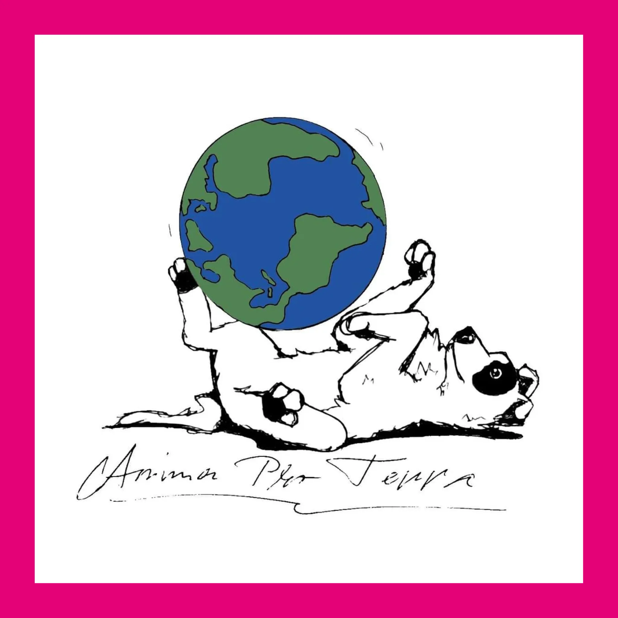 Asociația Anima Pro Terra