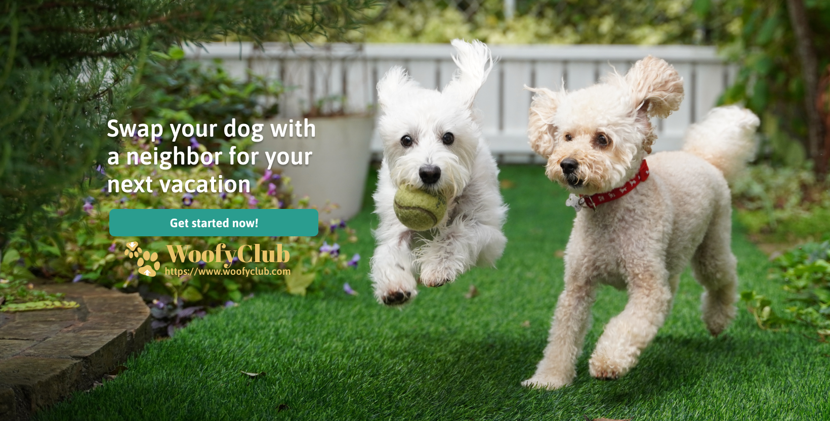 WoofyClub screenshot 1