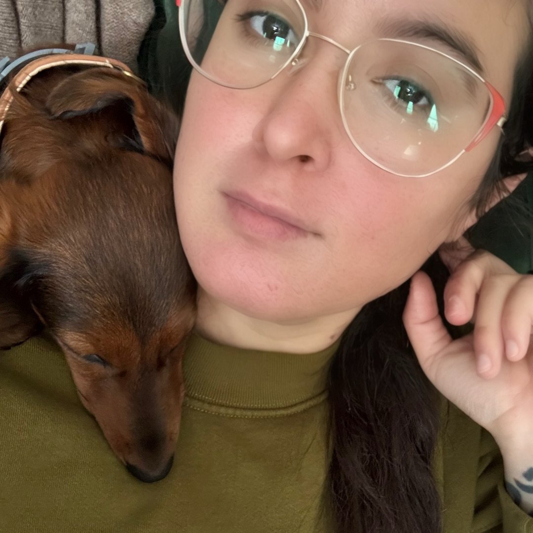 Picture of dogs