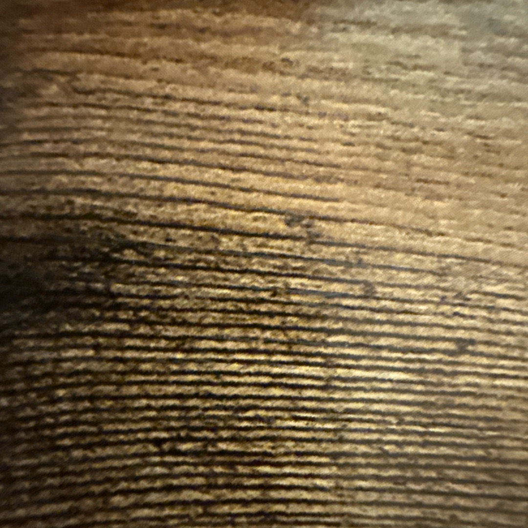 Picture of dogs