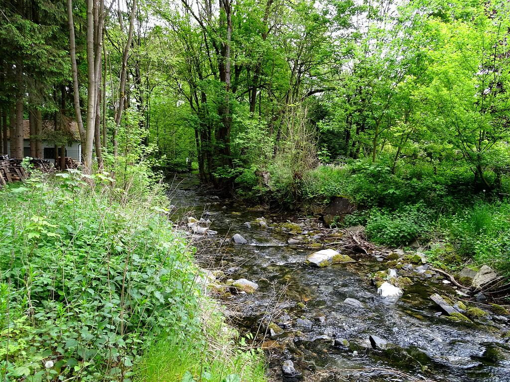 Ferienhäuser in Elpe