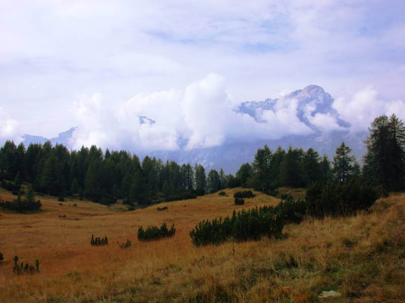 Zoldo alto