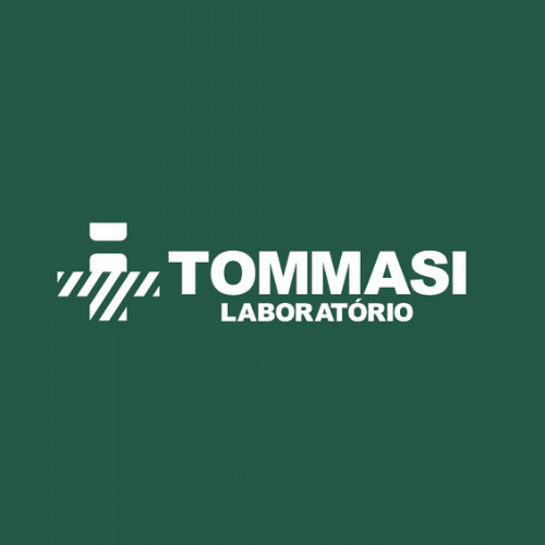 Logo GRUPO TOMMASI