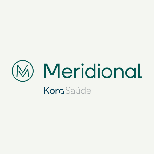 Logo REDE MERIDIONAL