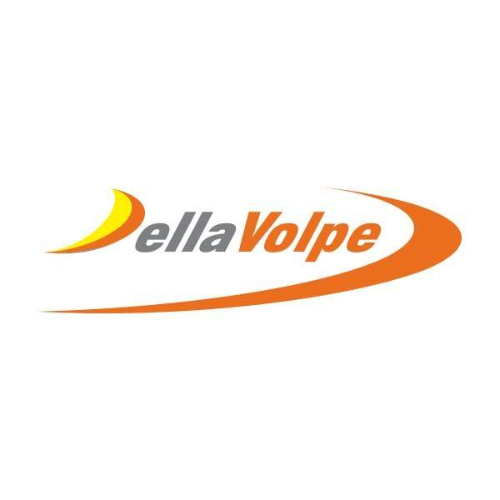 Logo TRANSPORTES DELLA VOLPE