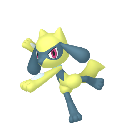 Riolu