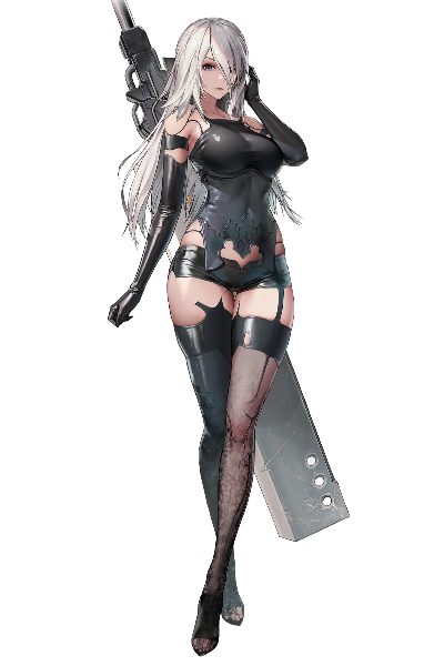 A2