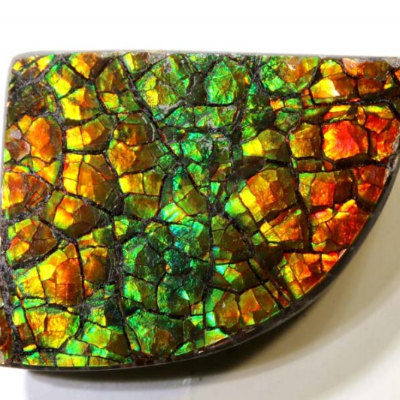 Ammolite