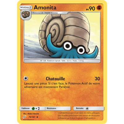 Amonita 75/181