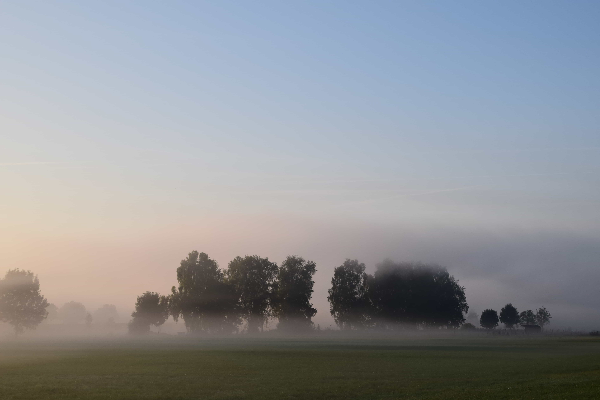 Brouillard