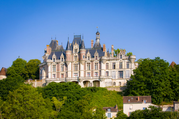 Château de Montigny le Gannelon