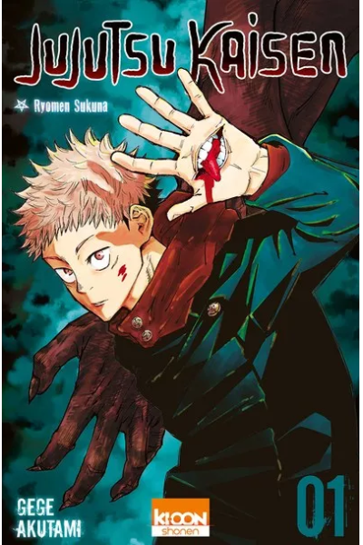 Jujutsu Kaisen (8.541.411)