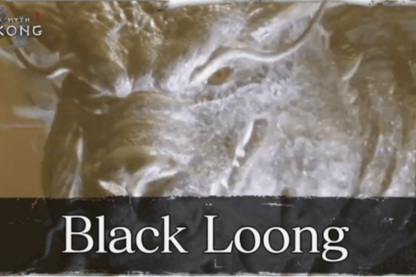 LOONG NOIR