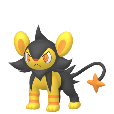 Luxio ✨