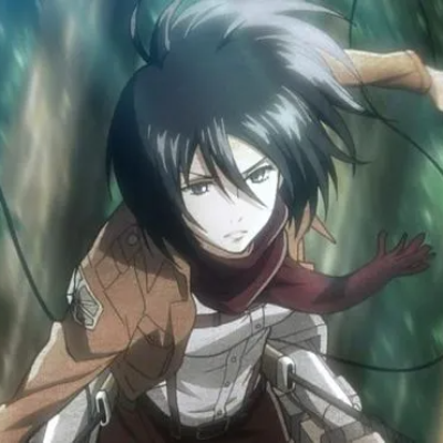 Mikasa