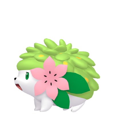 Shaymin Terrestre