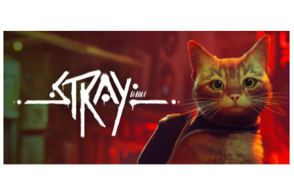 Stray