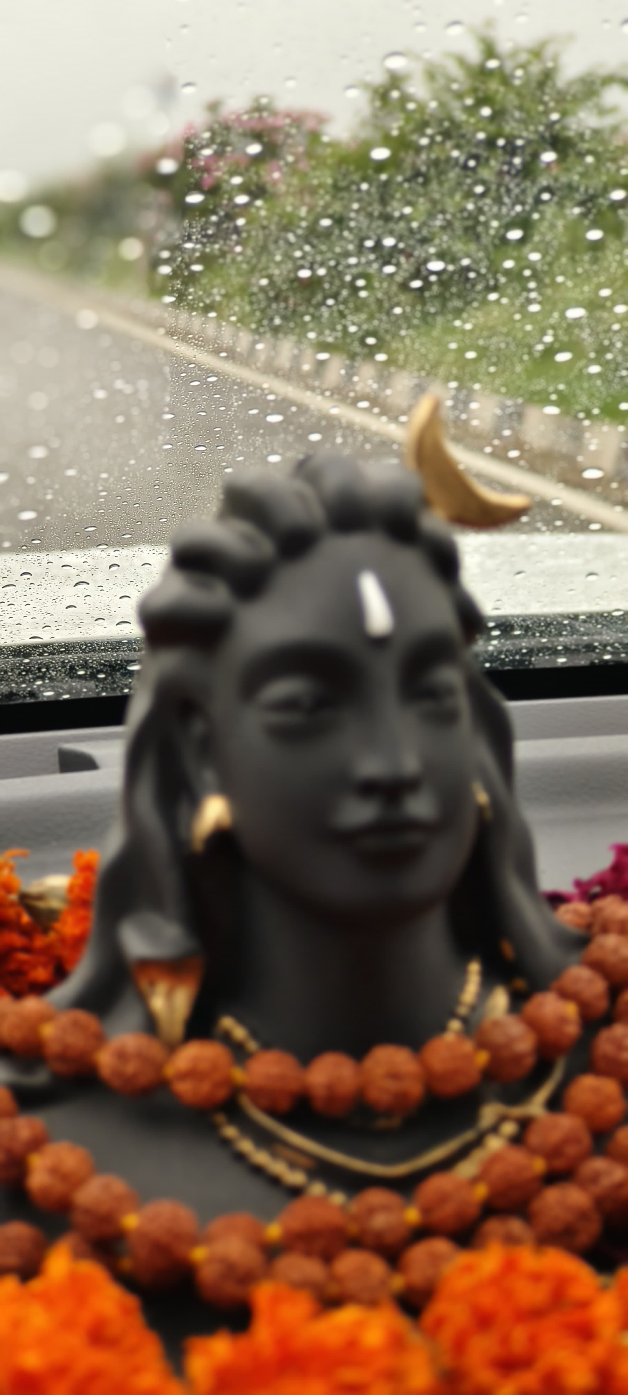 Adv. Shama Mehta