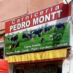 CARNICERIA PEDRO MONTT