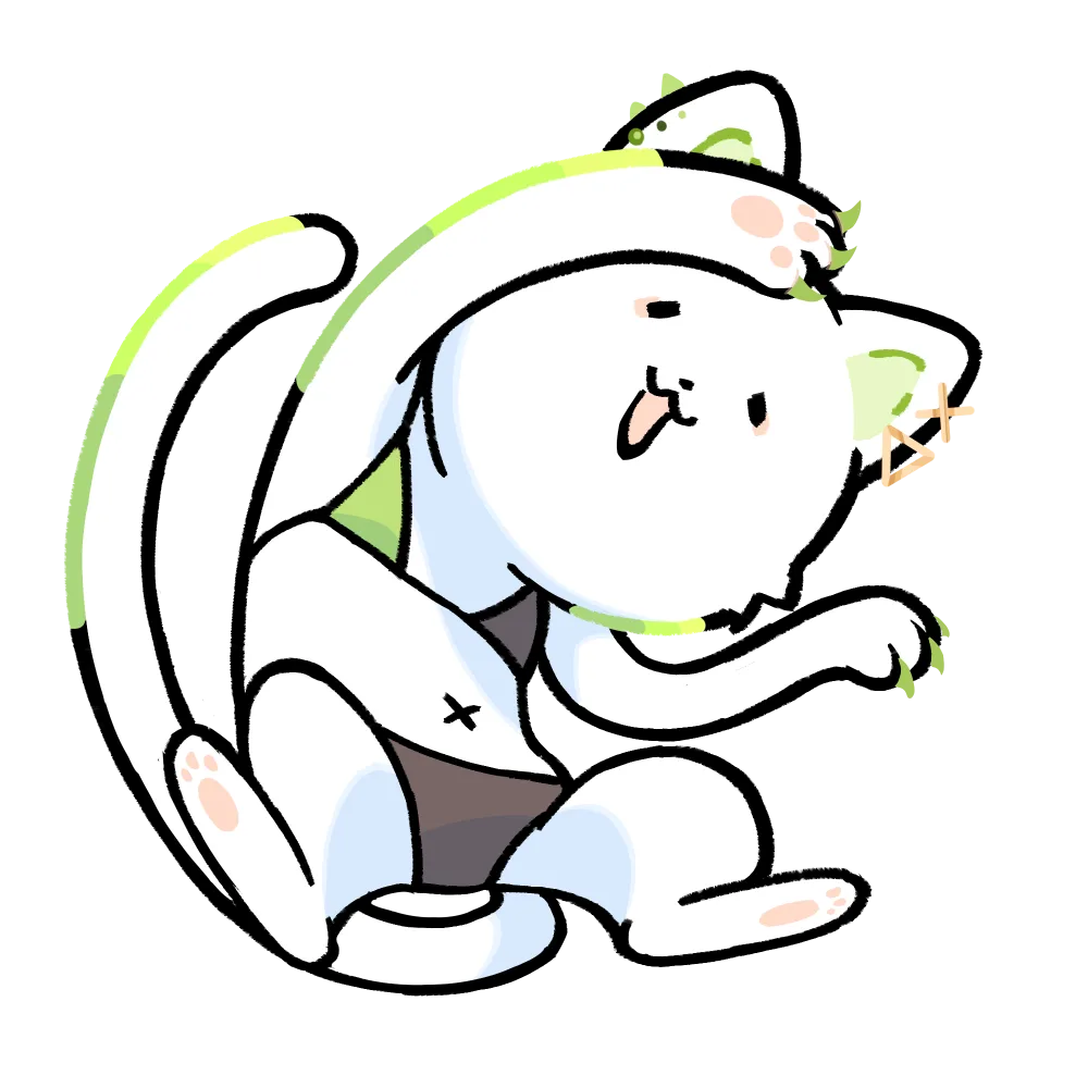 のこも
