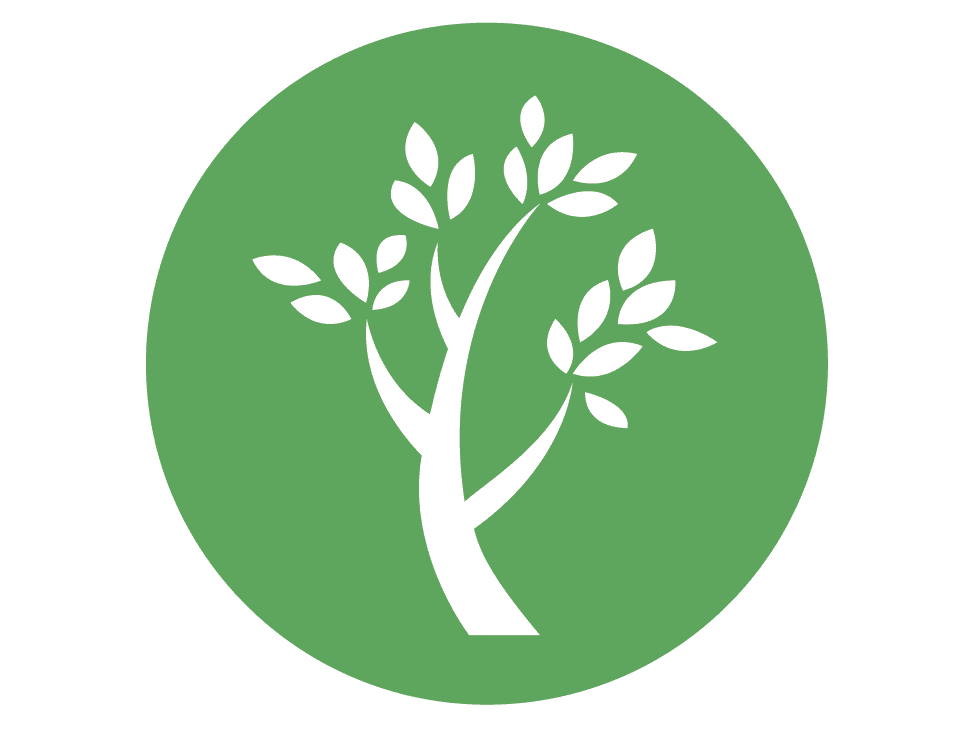 Fundación Al Verde Vivo