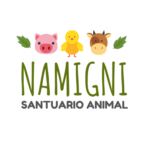 FotoFundación Santuario Animal Namigni