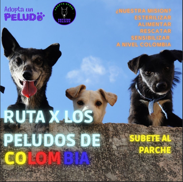 RUTA X LOS PELUDOS DE COLOMBIA 🐶🐾