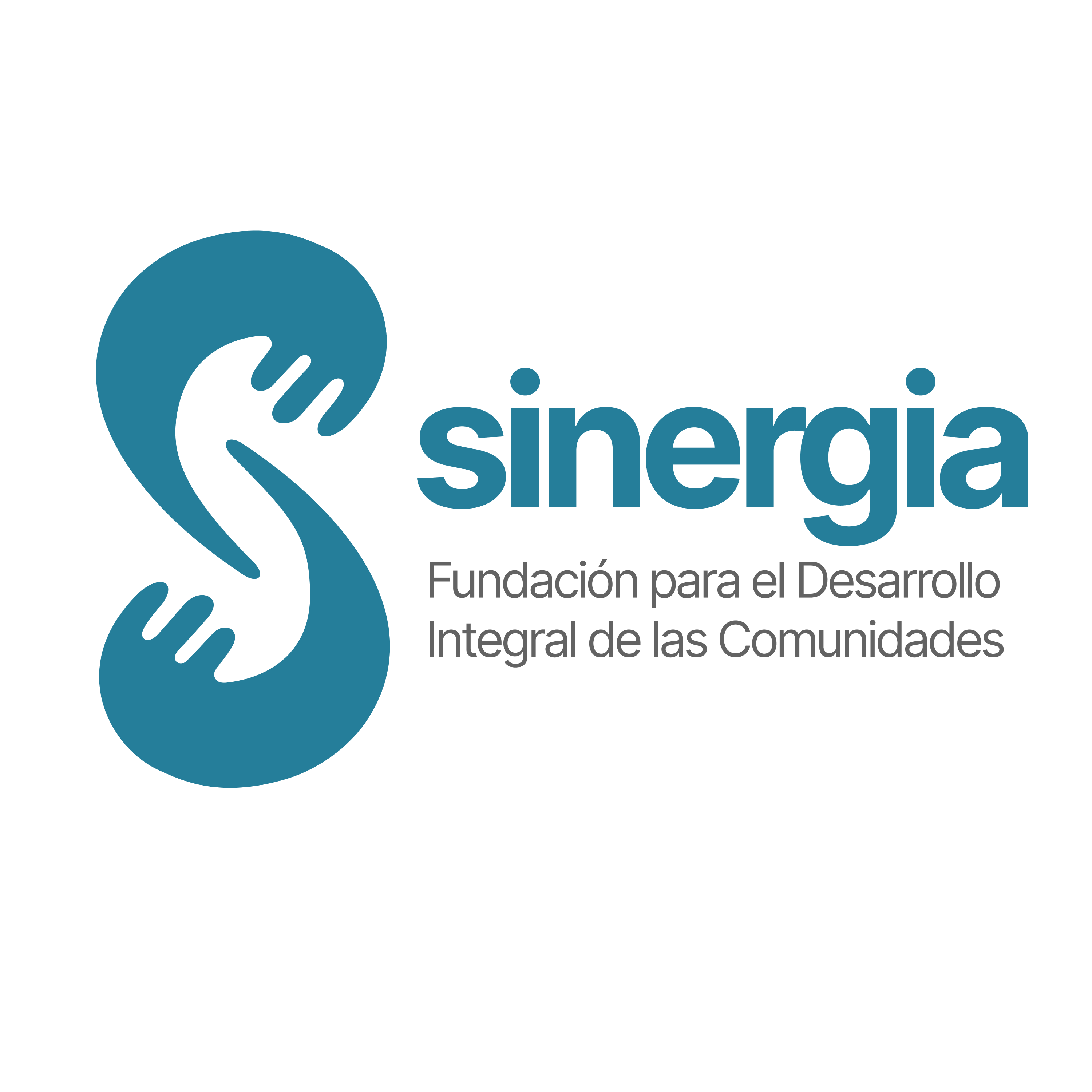 FUNDACION  SINERGIA 