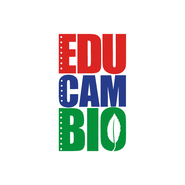 Fundación Educambio