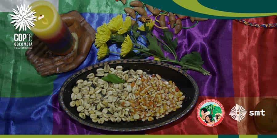 Conservación de las semillas nativas y criollas en las comunidades indígena - ONIC