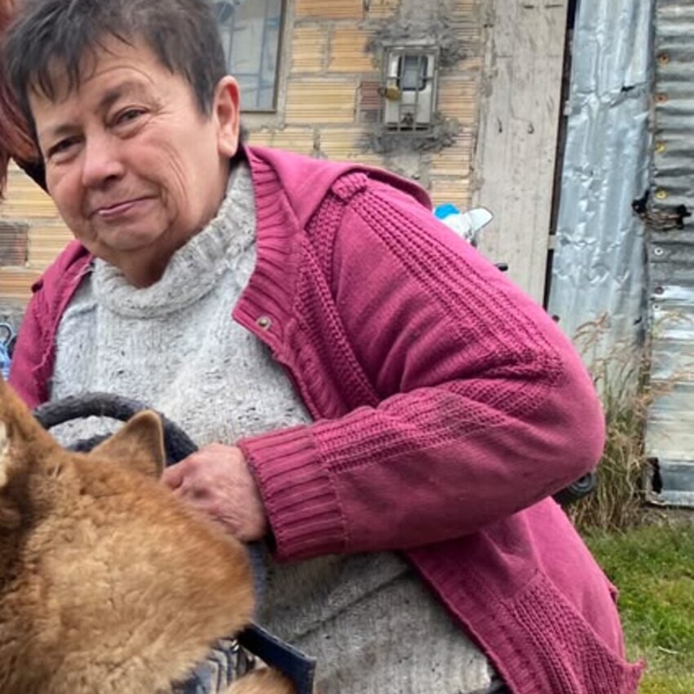 26 años recogiendo perros. Hoy son 60 y comen un bulto diario.