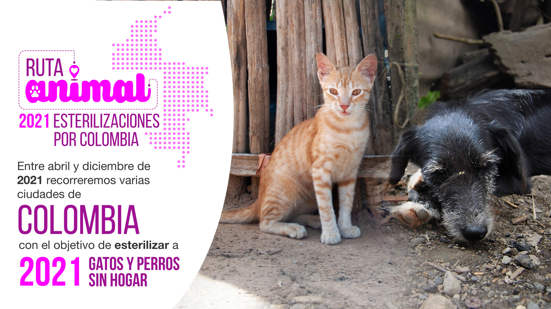 2021 Esterilizaciones por Colombia  #2021ExC