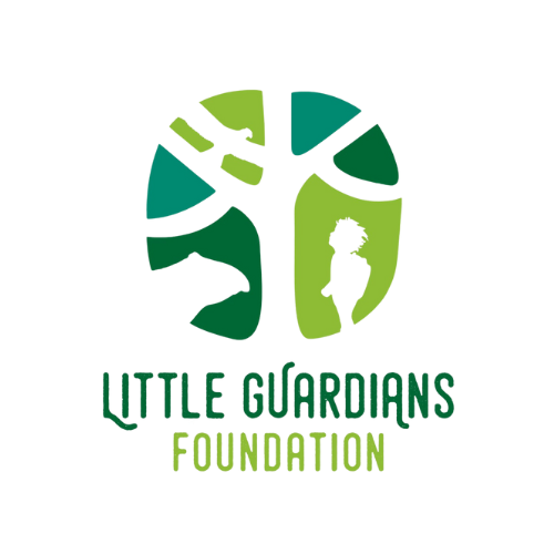 Fundación Little Guardians